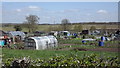 Allotment gardens, Ellistown in LE67 1EW