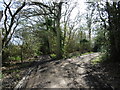 Junction of paths off Hawkhurst Road in TN17 3QD