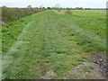 Green lane on Waterbeach Fen in CB25 9LP