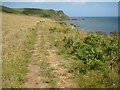 The coast path at The Narrows in TQ7 2NQ