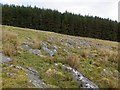 Rocky land west of Robinrock Plantations in Henshaw
