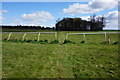 Horse racing track at Hazelwood Park in LS25 3AU