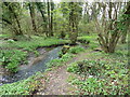 Stream by the North Downs Way in Stowting in TN25 6AU