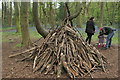 View of a pile of sticks acting as a den for children in Wanstead Park in E11 2LT
