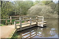 View of a jetty reflected in Earl's Path Pond in IG10 4AA