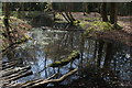 View of Strawberry Hill Pond from the main path in the forest in IG10 4AA
