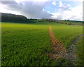 Field path up to Orchard Farm, Longdon in WR8 0RN