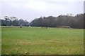 Grazing land, Hawkenbury in TN12 0EG