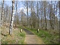 Cycle path, Aberfoyle in FK8 3UT