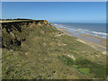 Undercliff between Trimingham and Sidestrand in Sidestrand