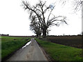 Bull's Road & footpath in Claydon & Barham Ward