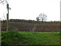 Footpath to Sandy Lane in Claydon & Barham Ward