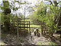 Footpath goes south from bridleway in RH11 0PY