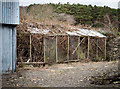 Overgrown greenhouse Glenduckie in KY14 6JF