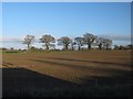 Ploughed field near Goostrey in CW4 8GP