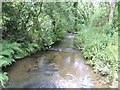 Trebant Water - downstream in PL13 2PG