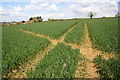 Tractor tracks crossing footpath leading to Camp Road in OX25 5EA