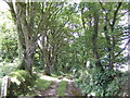 Ancient lane in PL22 0RN