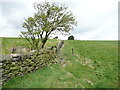 Footpath from Owlers Wood to Lower Holme, Slaithwaite in HD7 5HA