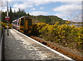 Train leaving Duncraig station in IV52 8TZ