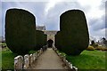 Duntisbourne Abbots: Well manicured yews leading to St. Peter's Church in GL7 7JN