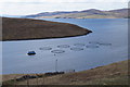 Salmon farm, Gon Firth in ZE2 9PY