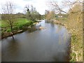 The River Otter seen from Tipton St John bridge in EX10 0FF