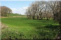 Field by the Waldon in EX22 7QQ