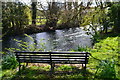 Bench by the River Avon at Upavon in SN9 6EB