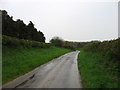 The lane to Oborne in DT9 4LA