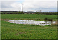 Pond in a field near to South Croxton in South Croxton