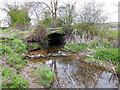 Footbridge, Kingston Brook East Leake in Leake Ward