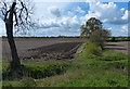 Farmland next to the Fossdyke Canal in LN1 2GD