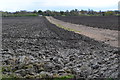 Path to All Cannings between newly ploughed fields in SN10 3NN