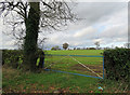 Gateway into a field north of Glen Road in LE8 9FH