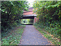 Cuckoo Trail passes beneath London Road in BN27 1FF