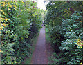 Cuckoo Trail southwards from a footbridge in BN27 1FF