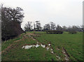 Muddy patch on the Midshires Way in LE7 9DL