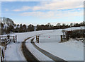 Gate and cattle grid in Marefield