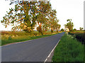 Bowden Road towards Market Harborough in Thorpe Langton