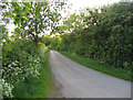 Welham Lane towards Great Bowden in LE16 7FN