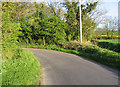Sharp bend on Tindon End Road in The Sampfords Ward