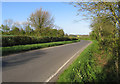 Towards Great Sampford and Little Sampford in CB10 2QG