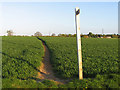 Footpath south-east from Parsonage Farm Lane in CB10 2RR