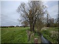 Footpath, tree and stream in SN8 1RB