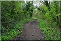 Path on former railway line in SO23 7NZ