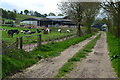 Track towards South Stoke Farm in SO23 7NL
