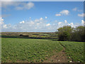 Fields near Glastir, Nevern in Nevern Community
