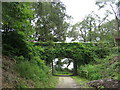 Road bridge over cycleway nr. Heligan in PL26 6DQ