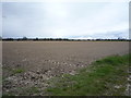 Field off Norwich Road in NR13 5FW